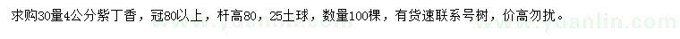 求購(gòu)30量4公分紫丁香