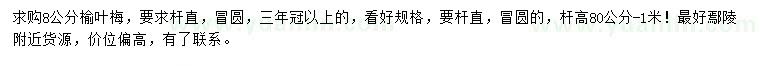 求購8公分榆葉梅