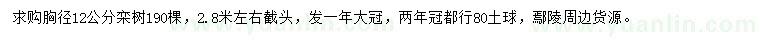 求購胸徑12公分欒樹
