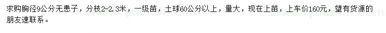 求購胸徑9公分無患子