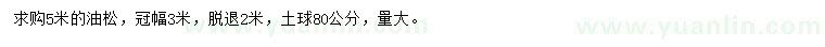 求購(gòu)5米油松