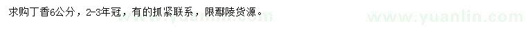 求購6公分丁香