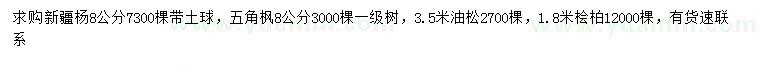 求購新疆楊、五角楓、油松等