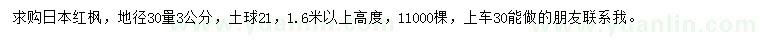 求購地徑30量3公分日本紅楓