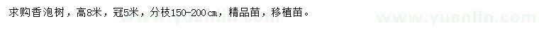 求購高8米香泡樹