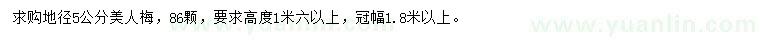 求購(gòu)地徑5公分美人梅