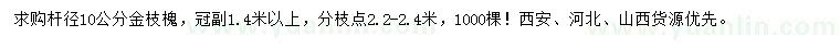 求購(gòu)桿徑10公分金枝槐