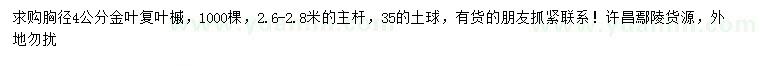 求購胸徑4公分金葉復(fù)葉槭