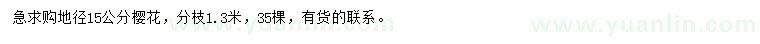 求購地徑15公分櫻花