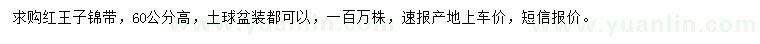求購高60公分紅王子錦帶