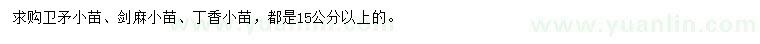 求購(gòu)衛(wèi)矛小苗、劍麻小苗、丁香小苗