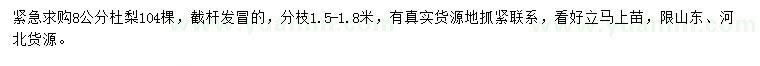 求購8公分杜梨