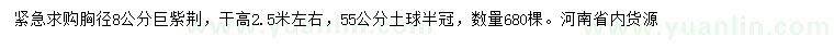 求購胸徑8公分巨紫荊