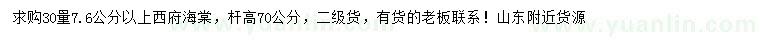 求購30量7.6公分以上西府海棠
