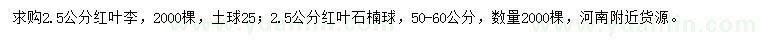 求購2.5公分紅葉李、紅葉石楠球