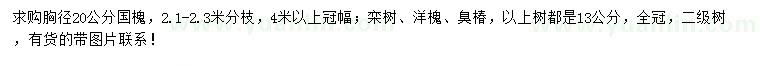 求購國槐、欒樹、洋槐等