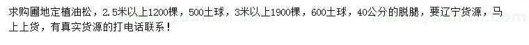 求購(gòu)2.5米、3米以上油松