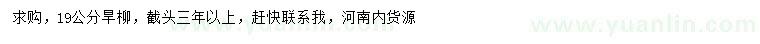 求購(gòu)19公分旱柳