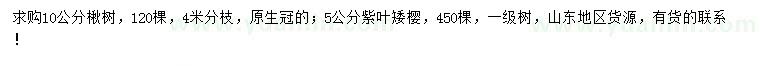 求購(gòu)10公分楸樹(shù)、5公分紫葉矮櫻