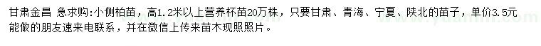 求購高1.2米以上小側(cè)柏