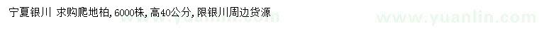 求購高40公分爬地柏