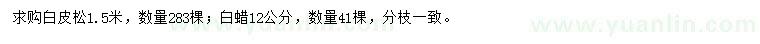 求購1.5米白皮松、12公分白蠟