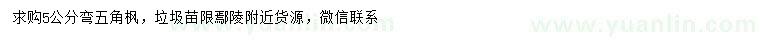 求購5公分五角楓