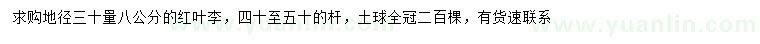 求購地徑30量8公分紅葉李