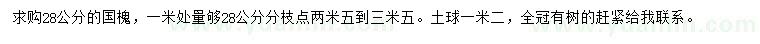 求購1米量28公分國槐