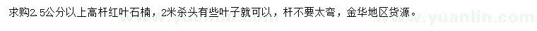 求購2.5公分以上高桿紅葉石楠