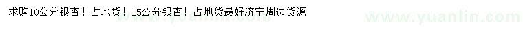 求購(gòu)10、15公分銀杏
