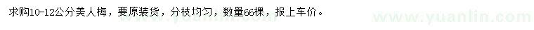 求購(gòu)10-12公分美人梅