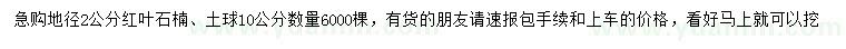 求購地徑2公分紅葉石楠