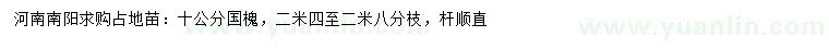 求購10公分國槐