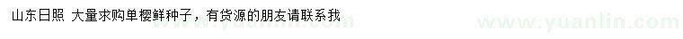 求購單櫻鮮種子