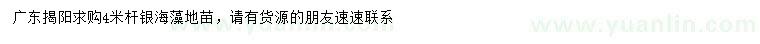 求購4米桿銀海藻