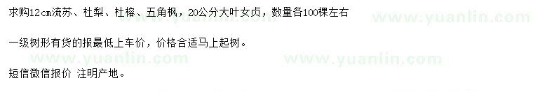 求購(gòu)流蘇、杜梨、杜榕等