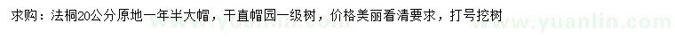 求購20公分法桐