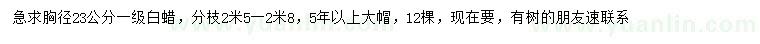 求購(gòu)胸徑23公分白蠟