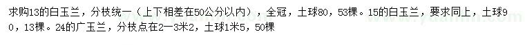 求購13、15、24公分白玉蘭