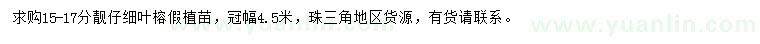 求購15-17公分細葉榕假植苗