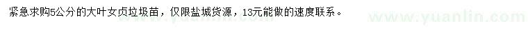 求購5公分大葉女貞