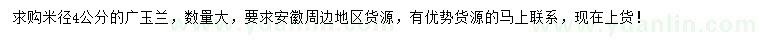 求購米徑4公分廣玉蘭