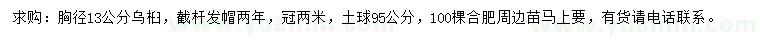 求購(gòu)胸徑13公分烏桕