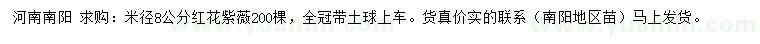 求購(gòu)米徑8公分紅花紫薇