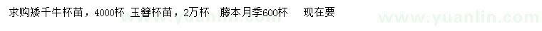 求購(gòu)矮千牛、玉簪、藤本月季