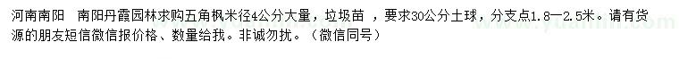 求購米徑4公分五角楓