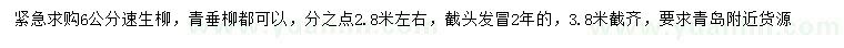 求購6公分速生柳