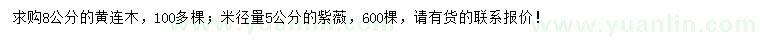 求購8公分黃連木、米徑5公分紫薇