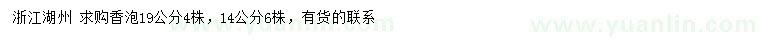 求購14、19公分香泡